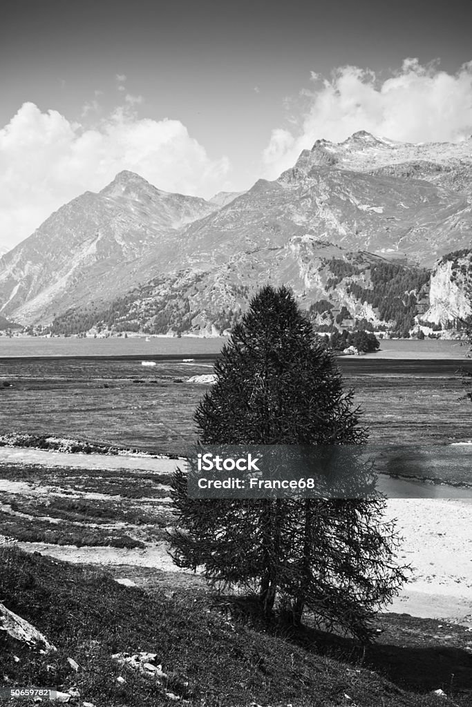 Zu Fuß etwa Sils Lake (Engadinertal-Schweiz) - Lizenzfrei Alpen Stock-Foto