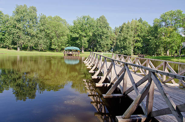 istock wooden bridge on pond water 506598045