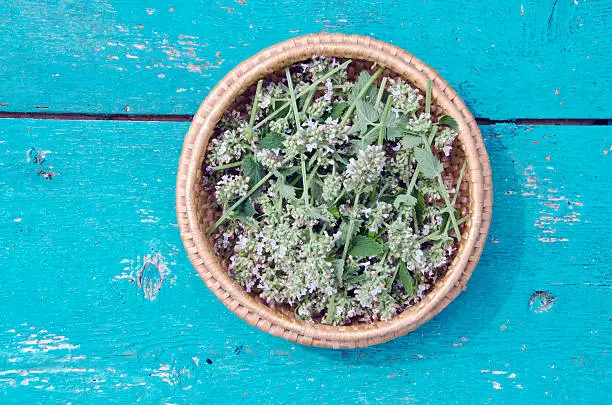 balm lemon-balm mint medical healthy herbal plant leaves in in wooden plate