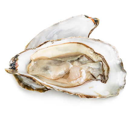 Oysters With Pearls Isolated On White Background Stock Photo - Download Image Now - Oyster, Animal Shell, Half Full - iStock Oysters With Pearls Isolated On White Background Stock Photo - Download Image Now - Oyster, Animal Shell, Half Full - iStock