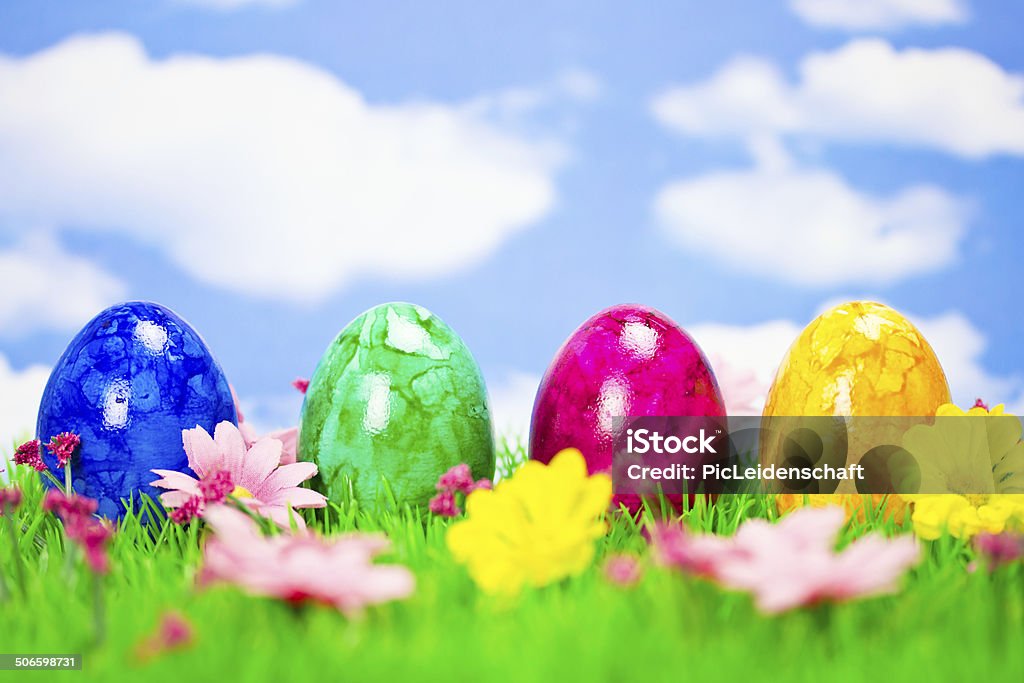 colored easter eggs easter eggs on meadow Agricultural Field Stock Photo