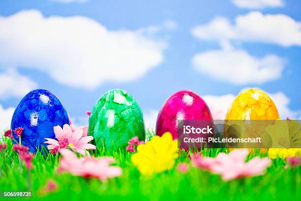 Colored Easter Eggs Stock Photo - Download Image Now - Agricultural Field, Animal Egg, Animal Nest