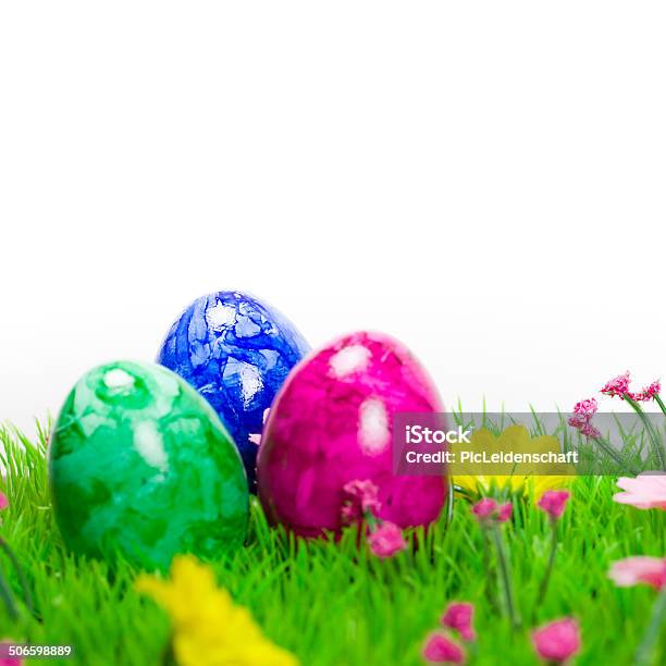 Uova Di Pasqua Colorate - Fotografie stock e altre immagini di Aiuola - Aiuola, Bianco, Blu