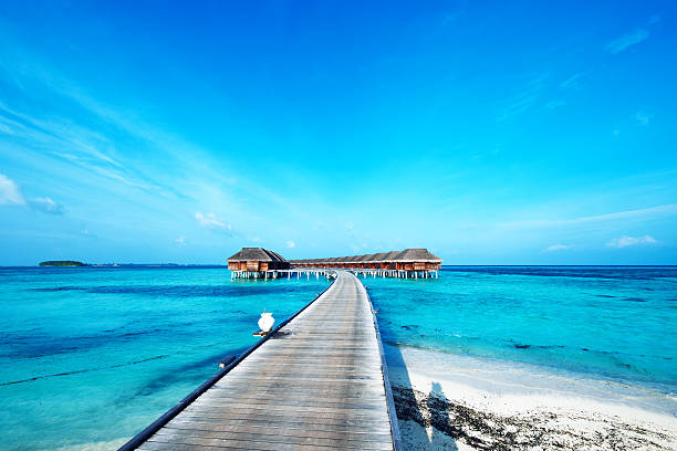 istock Beautiful beach with water bungalows 506598899