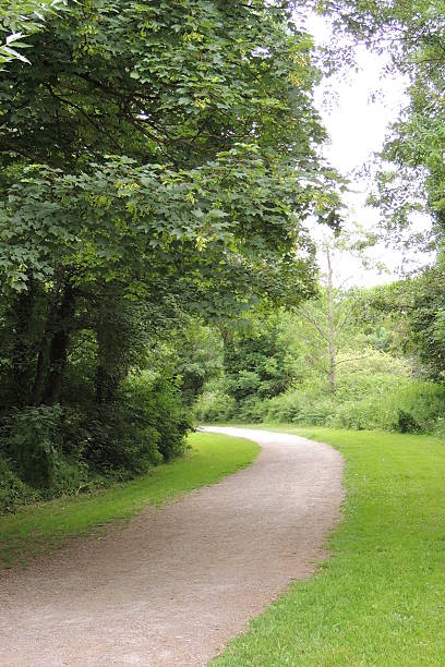 istock Ballincollig Regional Park 506598907