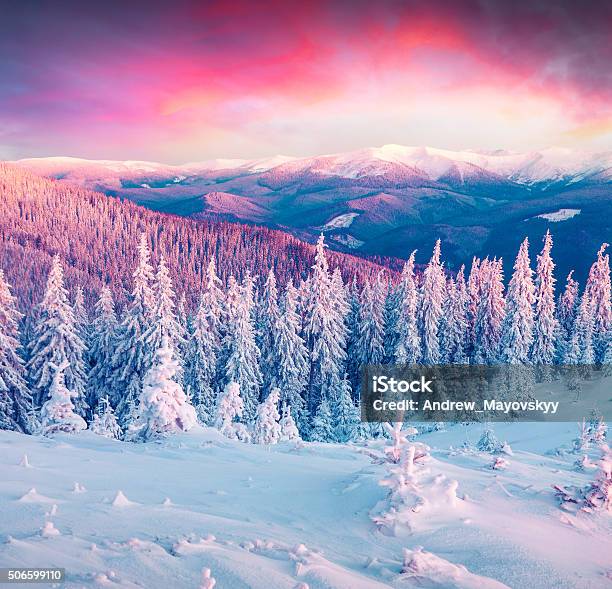 Colorful Winter Sunrise In The Carpathian Mountains Stock Photo - Download Image Now