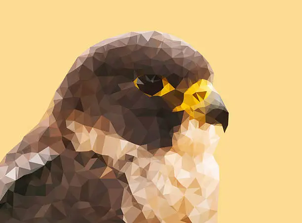 Photo of head of falcon from triangles