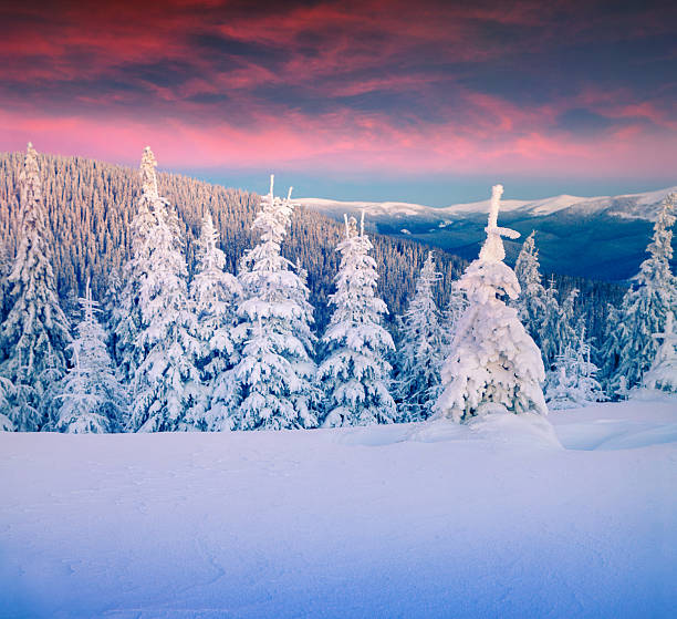 istock Colorful winter scene in the mountains 506599394
