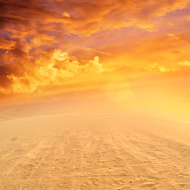 istock Desert and sunny weather. 506599928