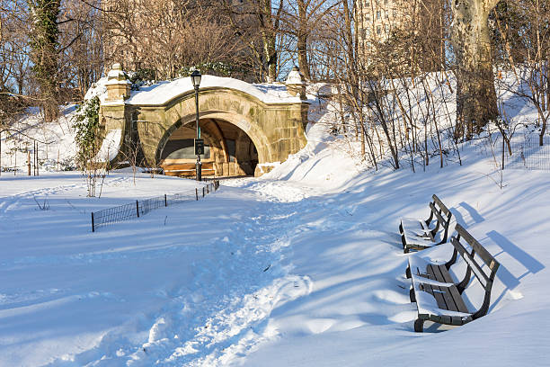 istock Prospect Park Benches in Snow 506600548