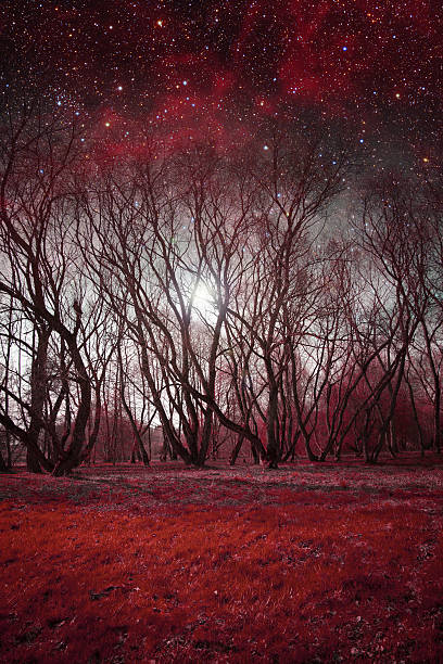 istock mystical spring night. Elements of this image furnished by NASA 506600619