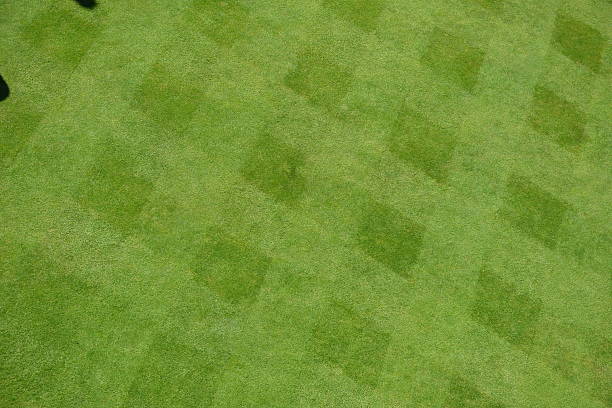 istock English Green Lawn - Freshly Cut 506601497