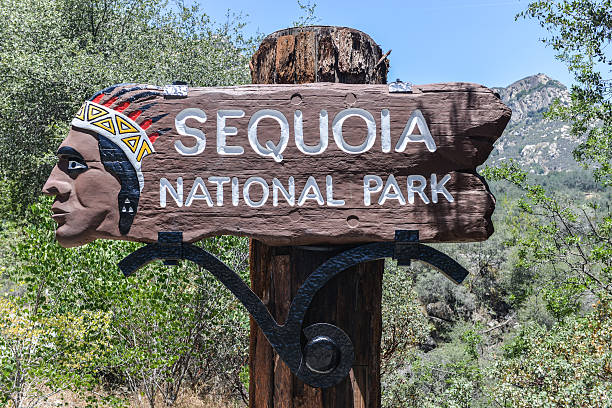 istock Sequoia National Park Sign 506601617