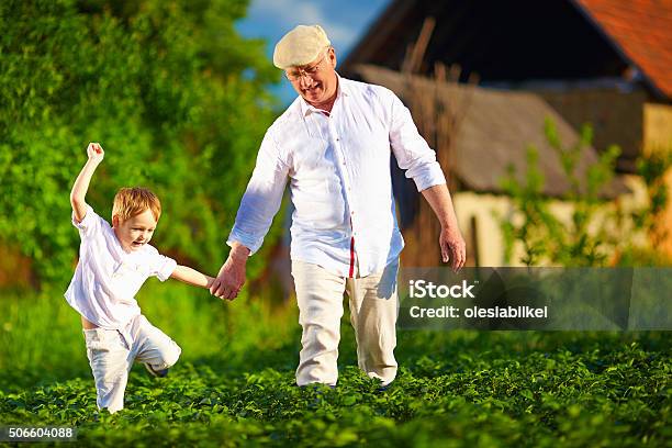 Happy Grandfather And Grandson Among Potato Rows At Their Homestead Stock Photo - Download Image Now