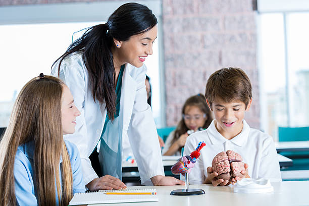 istock Preteen students studying human organs during anatomy class 506605836