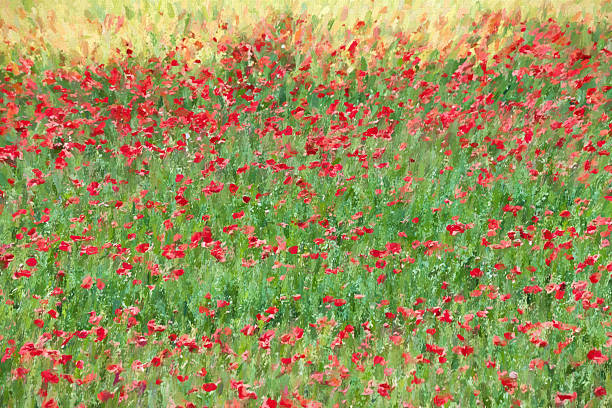 istock Poppy Field Digital Art Background 506609728