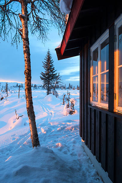 istock Mountain cabin and birch tree in January, Synnfjell Norway 506611376