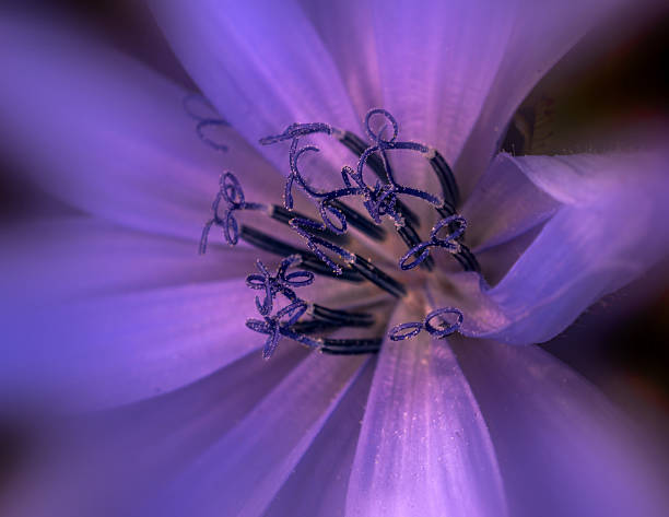 istock Dream in Purple and Blue 506613540