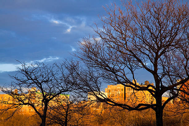 sunset stock photo