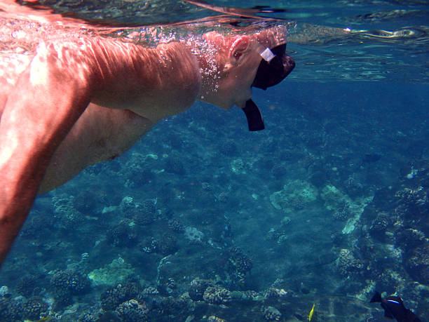 istock Man snorkeling in tropical waters 506614574