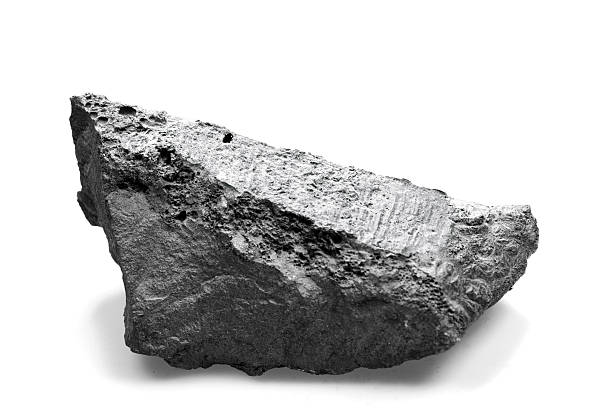 Nickel ore A piece of nickel from New Caledonia in the South Pacific. One of the largest nickel mine in the world mineral stock pictures, royalty-free photos & images