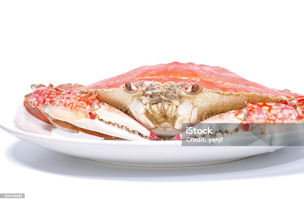 Steamed Swimming crab in white plate isolated on white background Animal Shell Stock Photo