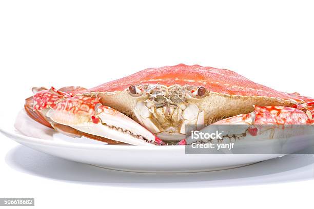 Steamed Swimming Crab In White Plate Isolated On White Background Stock Photo - Download Image Now