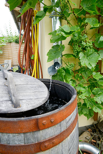 cilindro de lluvia - wasserspeicher fotografías e imágenes de stock