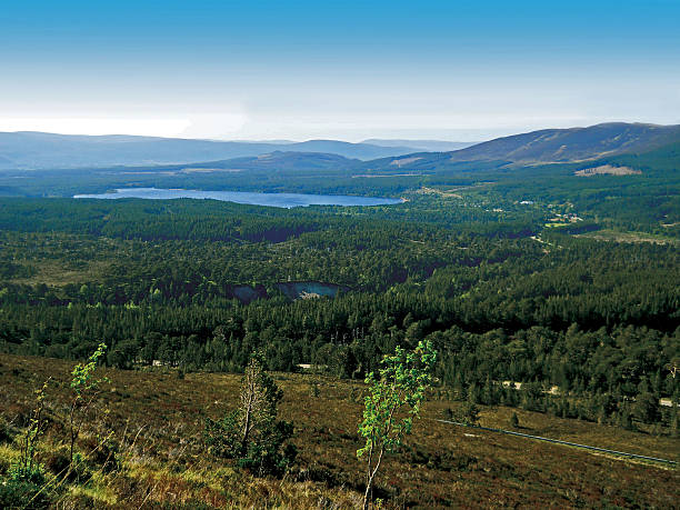 loch morlich de approche du cairngorm - aviemore photos et images de collection