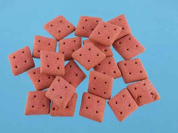 Close up of square  dog biscuits on a blue background