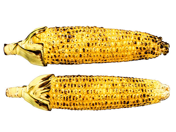 жареный corncob изолированные - corn corn on the cob grilled roasted стоковые фото и изображения