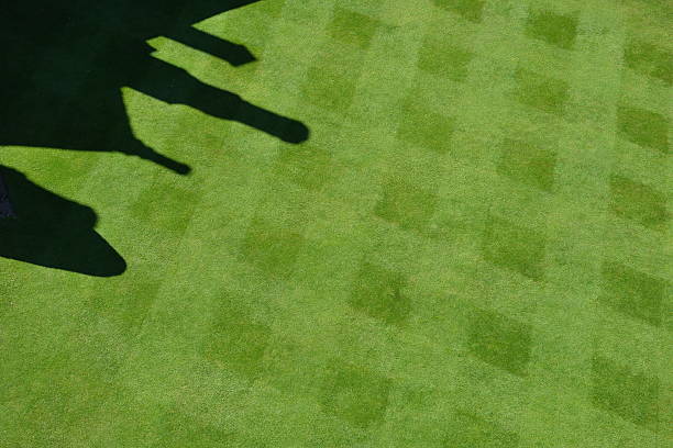 istock English Green Lawn - Freshly Cut 506622263
