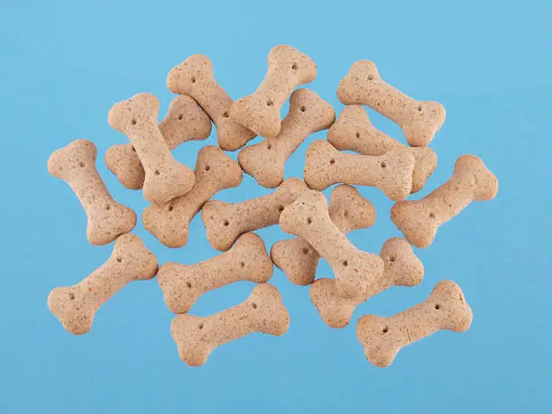 Close up of dog biscuits in the shape of bones on a blue background