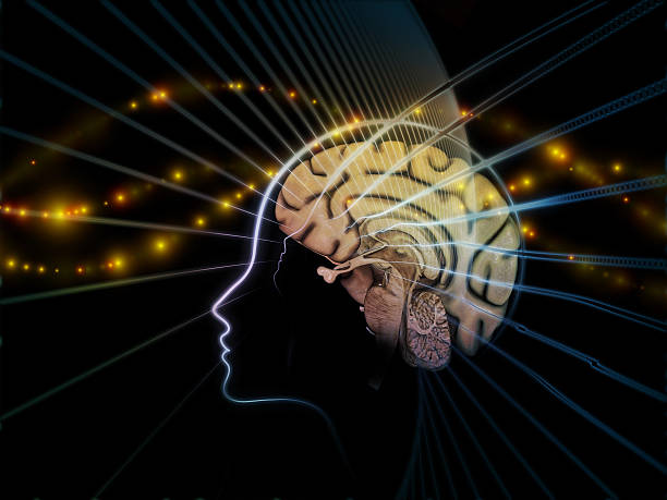 istock Vision of the Mind 506626373