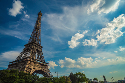 Eiffel Tower amidst lush greenery, embraced by trees