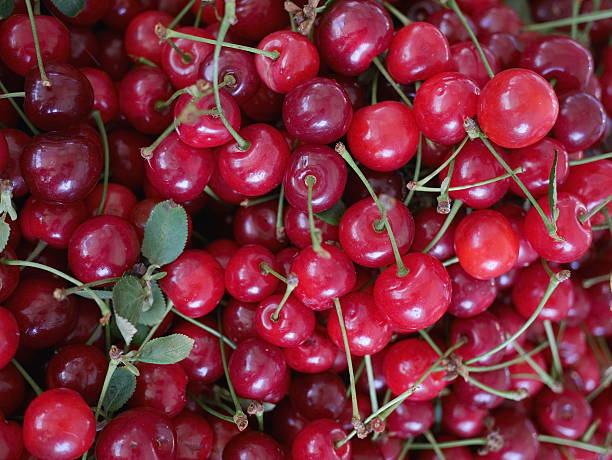istock cherries organic market 506627447