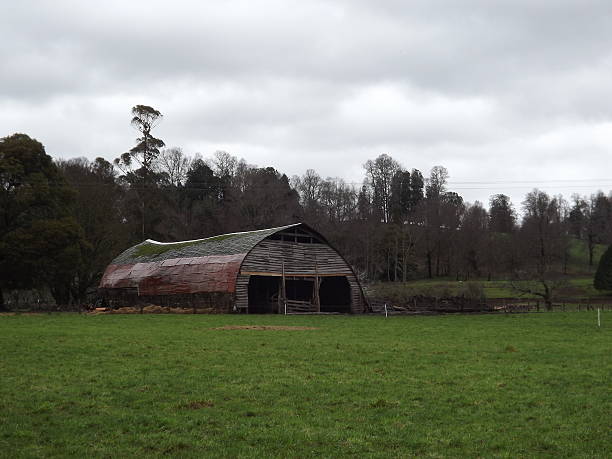 Old barn on the road to snowed forest stock photo