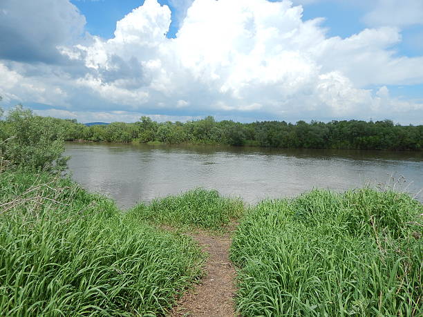 istock River landscape, the path leading to the river 506651209