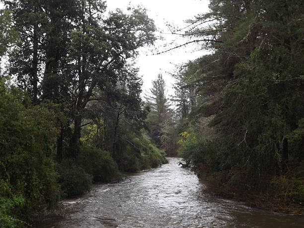 Trafun river in north west Patagonia stock photo