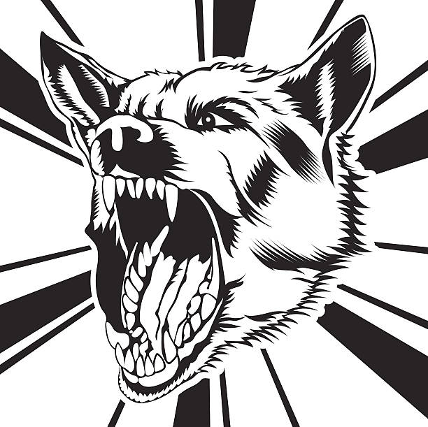 dog 's face vector silhouette dog 's face vector silhouette on white background nasty dog stock illustrations