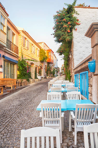 Alacati is a beautiful and small Aegean town on the western coast of Izmir Province in Turkey, which has been famous for its restaurants in streets, architecture, vineyards and windmills.