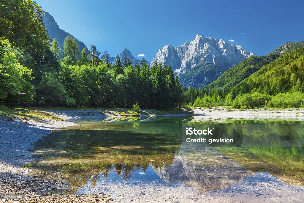 Valley w Park Narodowy Triglav, Julian Alpy, Słowenia - Zbiór zdjęć royalty-free (Triglavski narodni park)