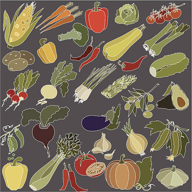 векторная иллюстрация различных овощей - celery vegetable illustration and painting vector stock illustrations
