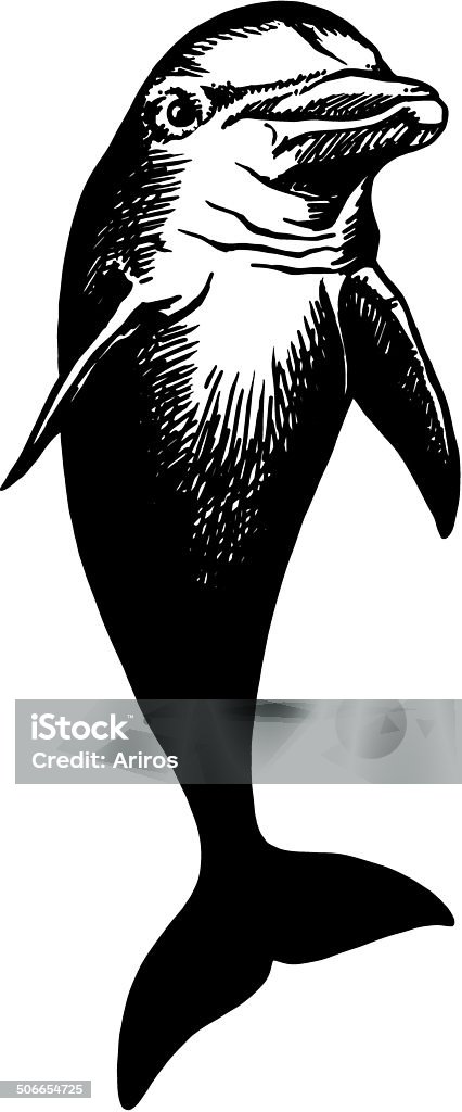 dolfin cartoon, hand drawn, vector, sketch, illustration of dolfin Playful stock vector