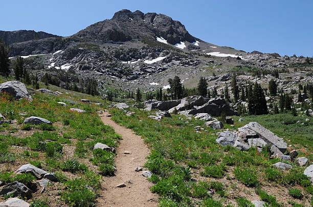 istock Hiking Trail in Mokelumne Wilderness 506654983