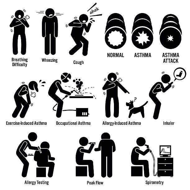 Asthma Illustrations Illustrations showing asthma patient having asthma attack. His airway is tighten and he cannot breath. Asthma can be due to exercise, occupation, and allergy. You can test and check asthma using allergy testing, peak flow, and spirometry.  asma stock illustrations