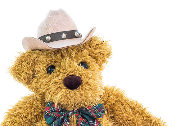 istock Close up cowboy teddy bear on white 506664782