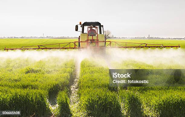 Tractor Spraying Wheat Field Stock Photo - Download Image Now - Crop - Plant, Crop Sprayer, Spraying