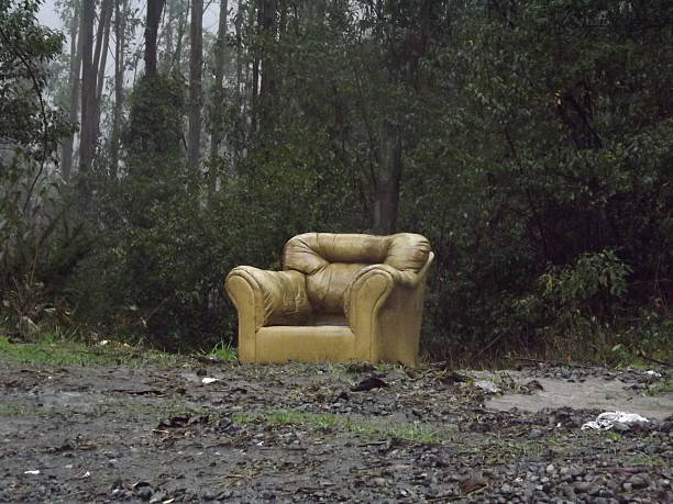 Sofa in the rain forest stock photo