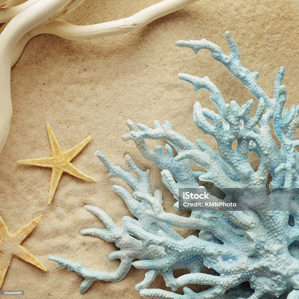 shells on sand summer background. seashells on sand Beach Stock Photo